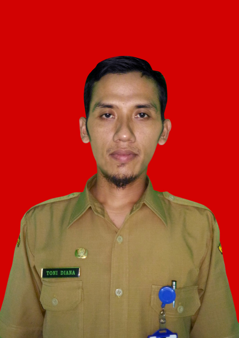 Toni Diana, S.Kom